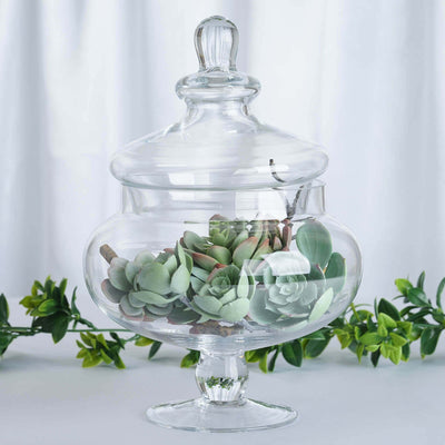 Glass apothecary jar with lid showcasing succulents inside