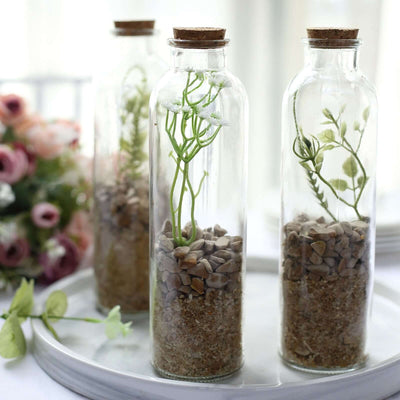 Decorative glass bottles with plants and stones on a tray.