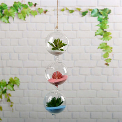 Hanging glass terrarium with succulents in three connected spheres.