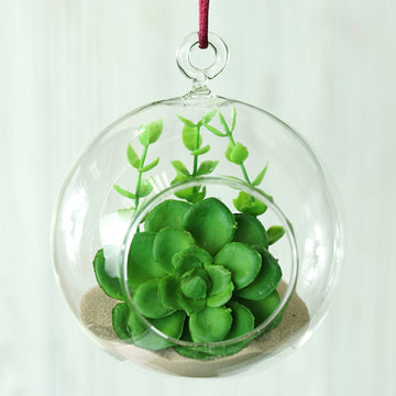 Versatile and Stylish Glass Globe Terrariums for Any Occasion