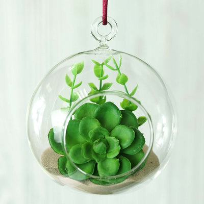 Hanging glass terrarium with succulent plants and sand