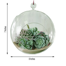4 Pack | 7inch Large Air Plant Hanging Glass Globe Terrarium, Free-Falling Elegant Planter