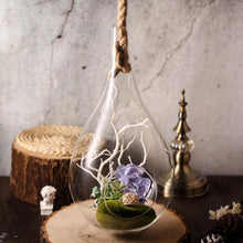 15 Inch Hanging Teardrop Terrarium Large Air Plant Glass with Twine Rope 2 Pack