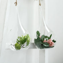 12 Inch Hanging Teardrop Terrarium Air Plant Glass with Twine Rope 2 Pack