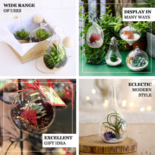 2 Pack Hanging Teardrop Large Air Plant Glass Terrarium with Twine Rope 15 Inch