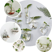 3 Pack Hanging Terrariums Wall Mounted Modish Round Glass Vase Planters