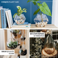 3 Pack Wall Mounted Glass Trapezoid Vase Planters Hanging Terrariums