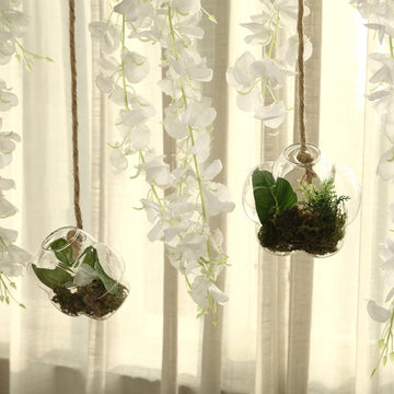 Stylish and Functional Hanging Terrariums