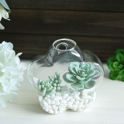 Succulent planter with pebbles in a decorative glass pot.