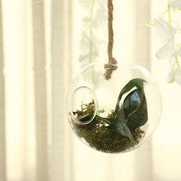 Stylish and Functional Round Glass Wall Vase for Any Space