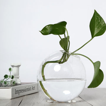 Elegant Clear Round Glass Wall Vase for Stunning Wall Decor
