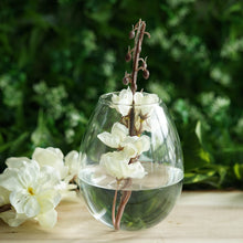 3 Pack Hanging Terrariums Egg Shaped Glass Wall Mounted Vase Planters