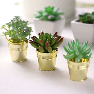 Mini succulent plants in gold buckets