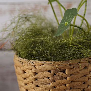 Green Preserved Natural Moss Grass DIY Gift Box Fillers 50g