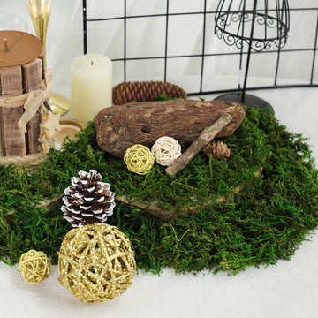 Green Preserved Natural Reindeer Moss Grass, DIY Craft Decoration 50g