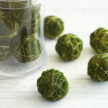 12 Pack | 2" Handmade Preserved Natural Moss Ball Vase Fillers with Golden Twine