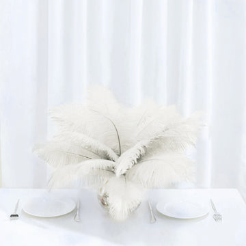 12 Pack | 13"-15" Ivory Natural Plume Real Ostrich Feathers, DIY Centerpiece Fillers