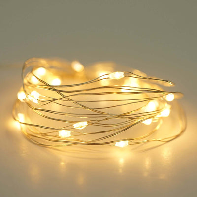 Warm white LED fairy lights on a delicate wire strand.