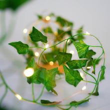 7 ft Warm White LED Ivy Vine String Lights