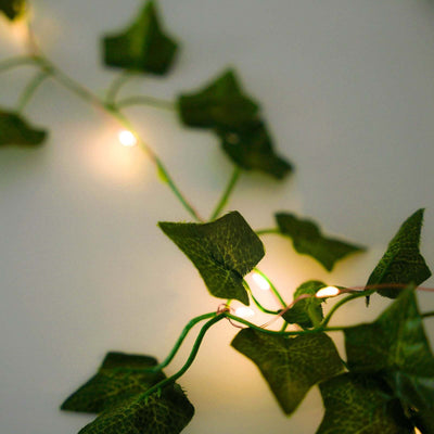 String lights with ivy leaves, creating a cozy ambiance.