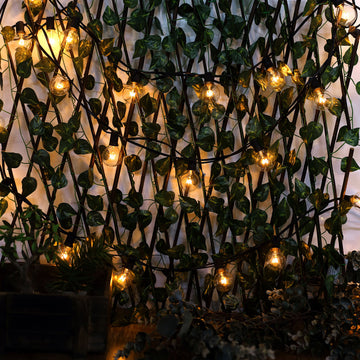 Create Memorable Events with Our Versatile and Waterproof String Lights