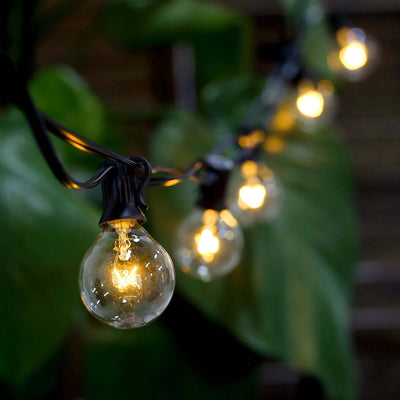 String lights glowing softly among greenery.