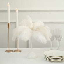 15inch LED White Ostrich Feather Table Lamp Desk Light