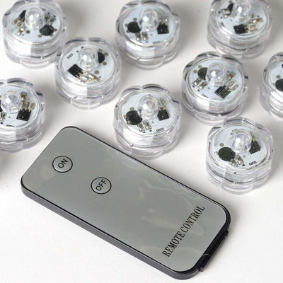 Remote control with multiple LED lights
