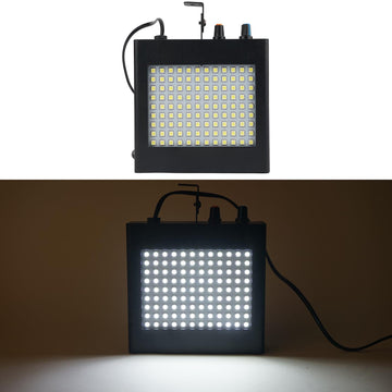 Experience the Ultimate Party Lighting with Dual Mode Flash