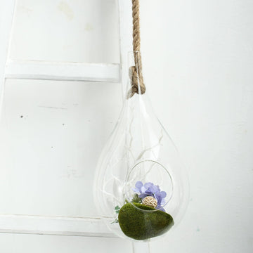 15" Large Air Plant Hanging Glass Teardrop Terrarium With Twine Rope, Free-Falling Planter