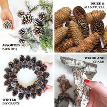 Pack of 9 Natural Pine Cones and Barks Assorted Potpourri Vase Fillers Bowl DIY Table Decorations