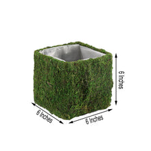 6 Inch x 6 Inch Square Preserved Moss Planter Boxes with Inner Lining Set of 4 