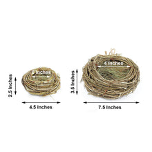 Set Of 2 Natural Twig Bird Nest 4.5 Inch 7.5 Inch Preserved Planter Boxes
