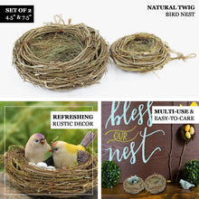 Preserved Twig Bird Nest Natural 4.5 Inch 7.5 Inch Planter Boxes Set Of 2