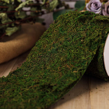 Green Preserved Moss Ribbon Roll for DIY Craft Projects
