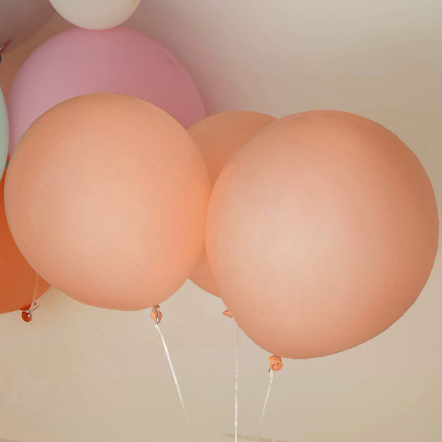10 Pack Matte Pastel Natural Air or Helium Latex Party Balloons 18 Inch