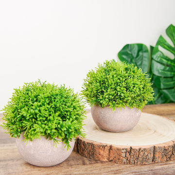 2 Plant Set | 5" Mini Potted Artificial Boxwood Topiary Faux Planter Collection