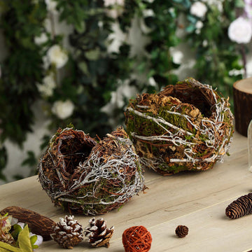 Set of 2 Natural Birds Nest Preserved Moss Twigs Planter Boxes, Flower Baskets 10", 8"