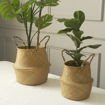 Set of 2 Natural Seagrass Plant Baskets, Wicker Hand Woven Straw Planter With Handles