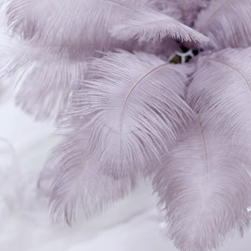 High-Quality Ostrich Feathers for All Your DIY Projects