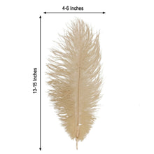 Beige Natural Plume Real Ostrich Feathers 12 Pack 13-15 Inch For DIY Centerpiece 