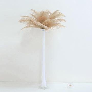 Beige Natural Plume Ostrich Feathers - DIY Centerpiece Fillers