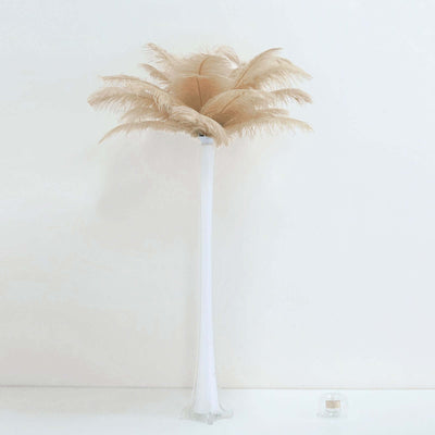 Pampas grass in a clear vase on a white background