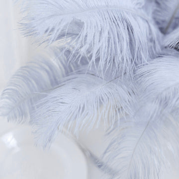 The Perfect Addition to Your Bulk Ostrich Feather Collection