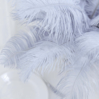 Light grey decorative feathers on a soft background.