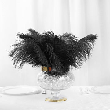 Create Unforgettable Memories with Ostrich Feathers