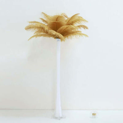 Tall golden feather palm tree decor in a minimalist design