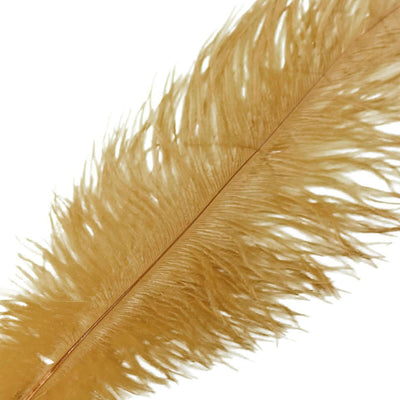 Golden feather with intricate details