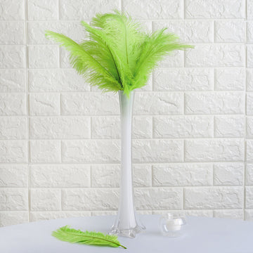 Add Vibrant Green to Your Décor with 12 Pack Green Natural Plume Real Ostrich Feathers