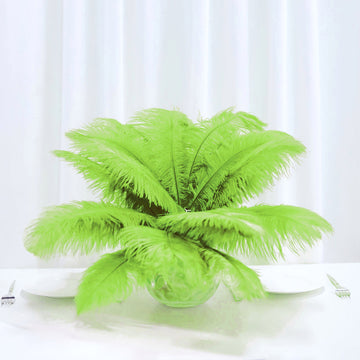 Create Unforgettable Memories with Green Natural Plume Real Ostrich Feathers